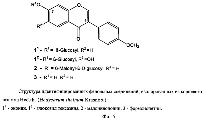 Культура корня hed.th. (hedysarum theinum krasnob.) - продуцент изофлавонов (патент 2360964)