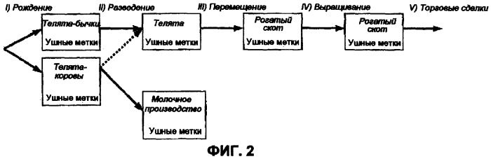 Способ и система для управления мясными продуктами (патент 2301433)