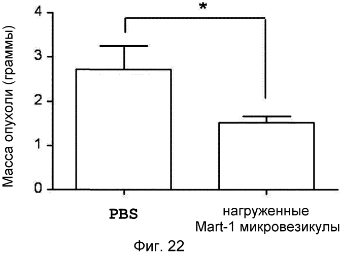 Микровезикулы, происходящие из протопластов клеток, и их применение (патент 2570636)