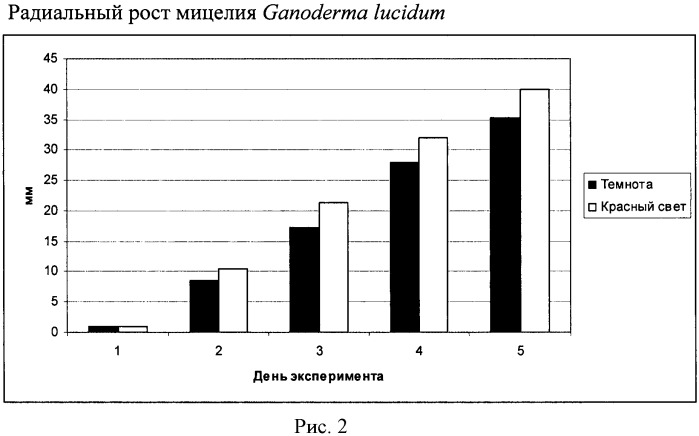 Способ выращивания мицелия ganoderma lucidum (патент 2446206)