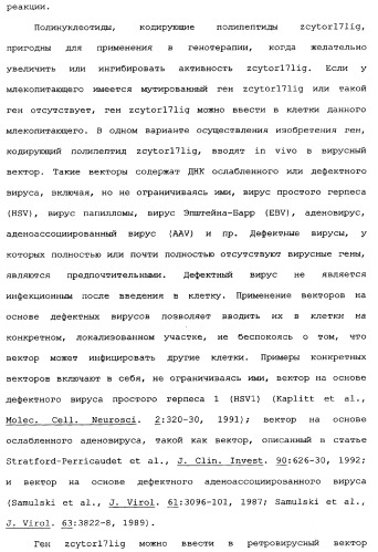 Новый лиганд рецептора цитокина zcytor17 (патент 2360923)