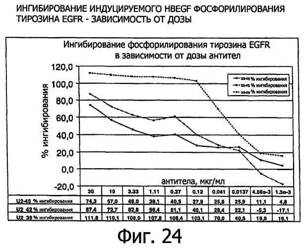 Белки, связывающие антиген фактор роста, подобный гепаринсвязывающему эпидермальному фактору роста (патент 2504551)