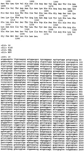 Полинуклеотидная последовательность, кодирующая полипептид вируса папилломы человека, ее применение, а также содержащие ее вектор и фармацевтическая композиция (патент 2354701)