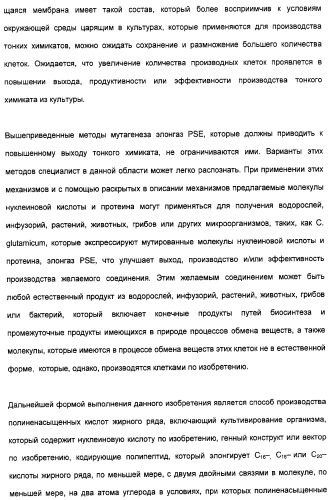 Новый ген элонгазы и способ получения полиненасыщенных кислот жирного ряда (патент 2311457)