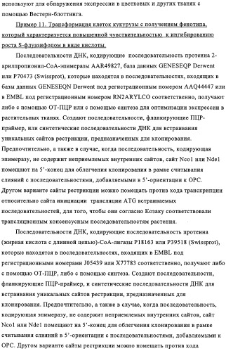 Способ избирательного получения растений с мужской или женской стерильностью (патент 2320722)