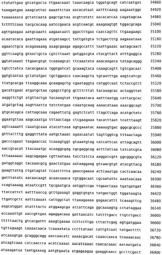 Бактериофаг, обладающий активностью против pseudomonas aeruginosa, белки бактериофага и способы их применения (патент 2580248)