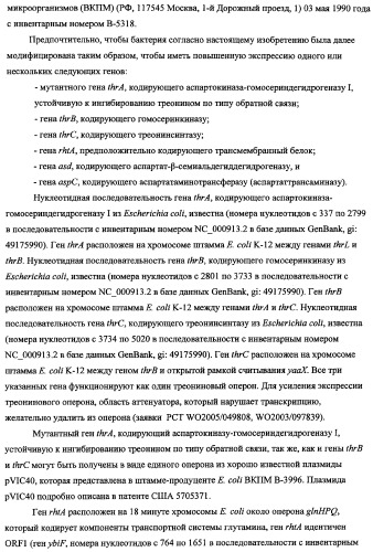 Способ получения l-треонина с использованием бактерии, принадлежащей к роду escherichia, в которой инактивирован ген fhua (патент 2333955)