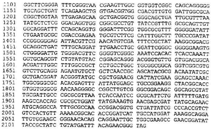 Антигены neisseria meningitidis (патент 2343159)