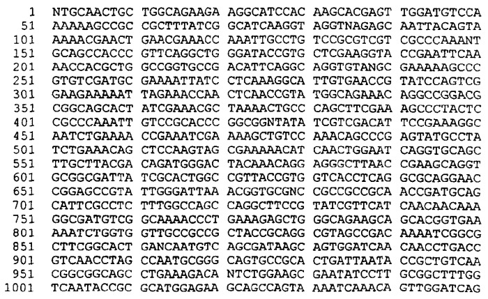 Антигены neisseria meningitidis (патент 2343159)