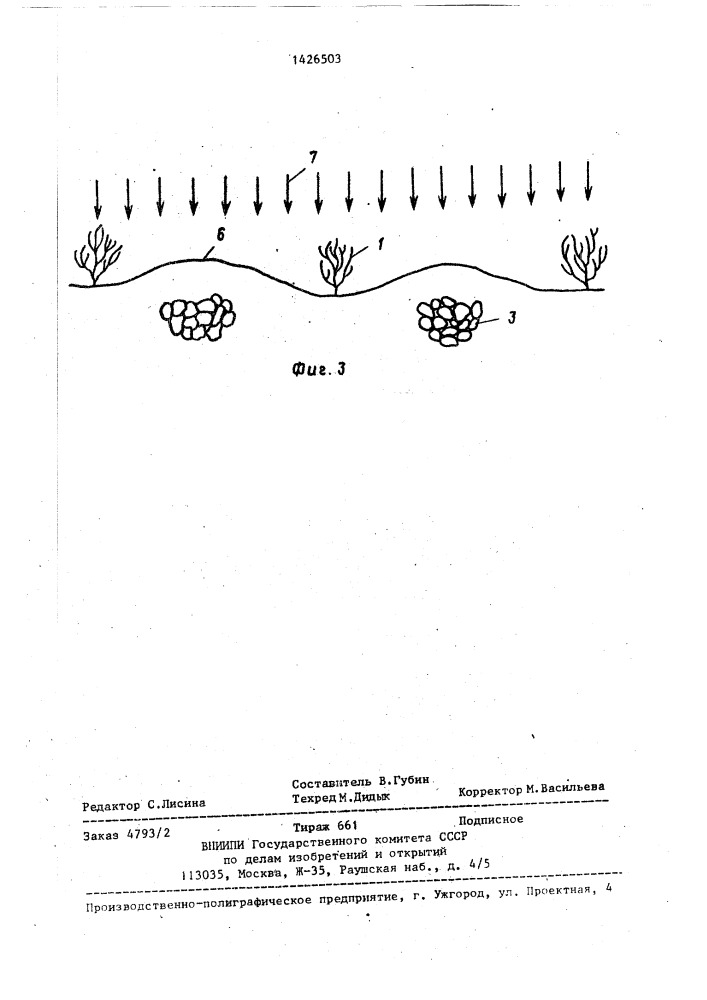 Способ орошения животноводческими стоками (патент 1426503)