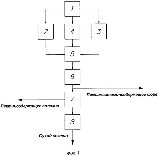 Способ переработки растительного сырья с получением пектина и пектинсодержащих пищевых продуктов и линия для его осуществления (патент 2354140)