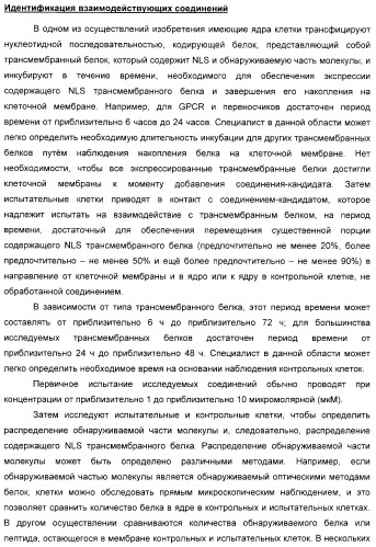 Способ идентификации соединений, взаимодействующих с трансмембранными белками (патент 2326166)