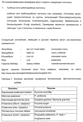 Способ повышения стойкости к стрессовым факторам в растениях (патент 2375452)