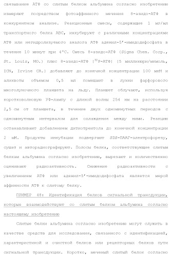 Слитые белки альбумина (патент 2369404)