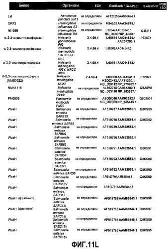 Гликопэгилированный гранулоцитарный колониестимулирующий фактор (патент 2400490)