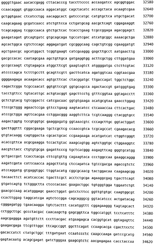 Бактериофаг, обладающий активностью против pseudomonas aeruginosa, белки бактериофага и способы их применения (патент 2580248)