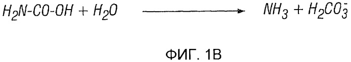 Использование уреазы для ингибирования роста раковых клеток (патент 2326691)