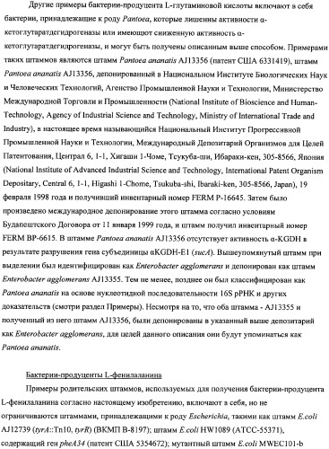 Мутантная iib/iic субъединица глюкозоспецифической пермеазы системы pts, фрагмент днк, бактерия, принадлежащая к роду escherichia, - продуцент l-треонина и способ получения l-треонина (патент 2335536)