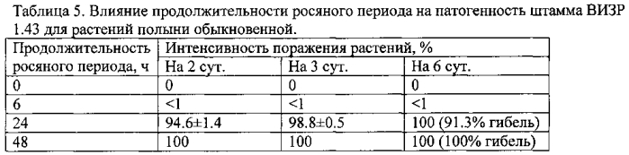 Штамм гриба phoma ligulicola var.inoxydabilis boerema, обладающий микогербицидной активностью против полыни обыкновенной (патент 2588470)