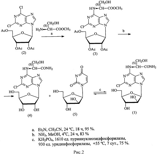 Способ получения 9-(бета-d-арабинофуранозил)-6-(nα-l-сериламидо)-2-хлорпурина (патент 2563257)