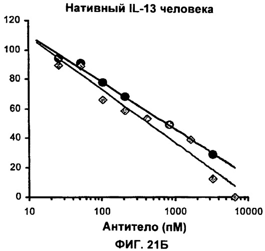 Антитела против интерлейкина-13 человека и их применение (патент 2427589)