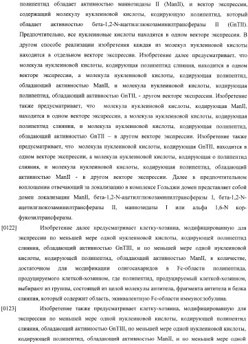 Конструкции слияния и их применение для получения антител с повышенными аффинностью связывания fc-рецептора и эффекторной функцией (патент 2407796)