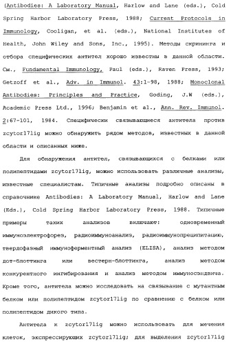 Новый лиганд рецептора цитокина zcytor17 (патент 2360923)