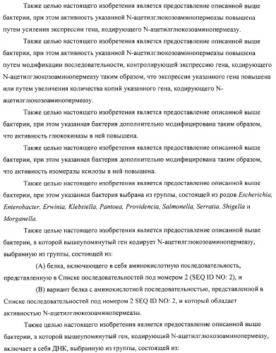 Способ получения l-аминокислот с использованием бактерии, принадлежащей к роду escherichia (патент 2312893)