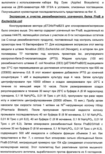 Нейссериальные вакцинные композиции, содержащие комбинацию антигенов (патент 2494758)