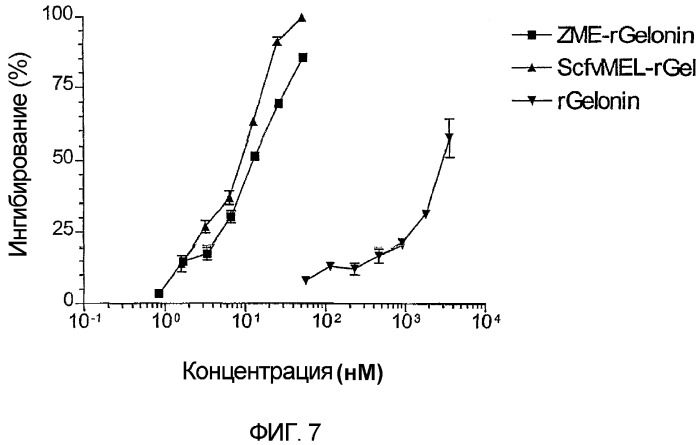 Модифицированные белки, сконструированные токсины и способы их получения (патент 2305684)