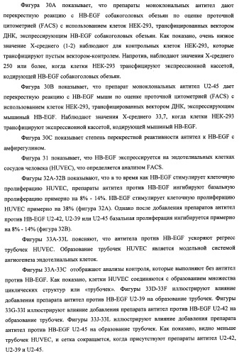 Белки, связывающие антиген фактор роста, подобный гепаринсвязывающему эпидермальному фактору роста (патент 2504551)
