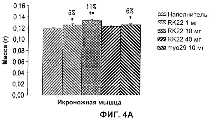 Антитела к gdf8 и их применения (патент 2447084)