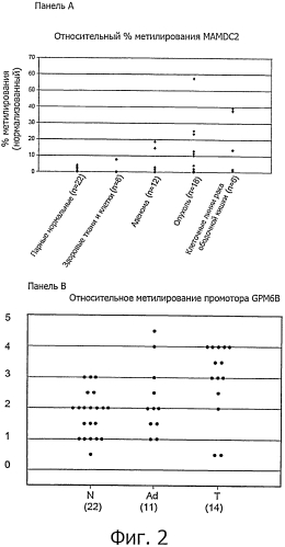 Способ диагностики неоплазм-ii (патент 2565540)