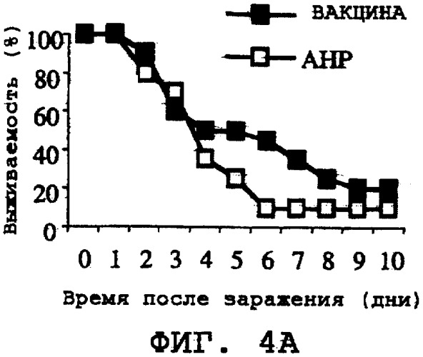 Полипептиды для индукции защитного иммунного ответа против staphylococcus aureus (патент 2337108)