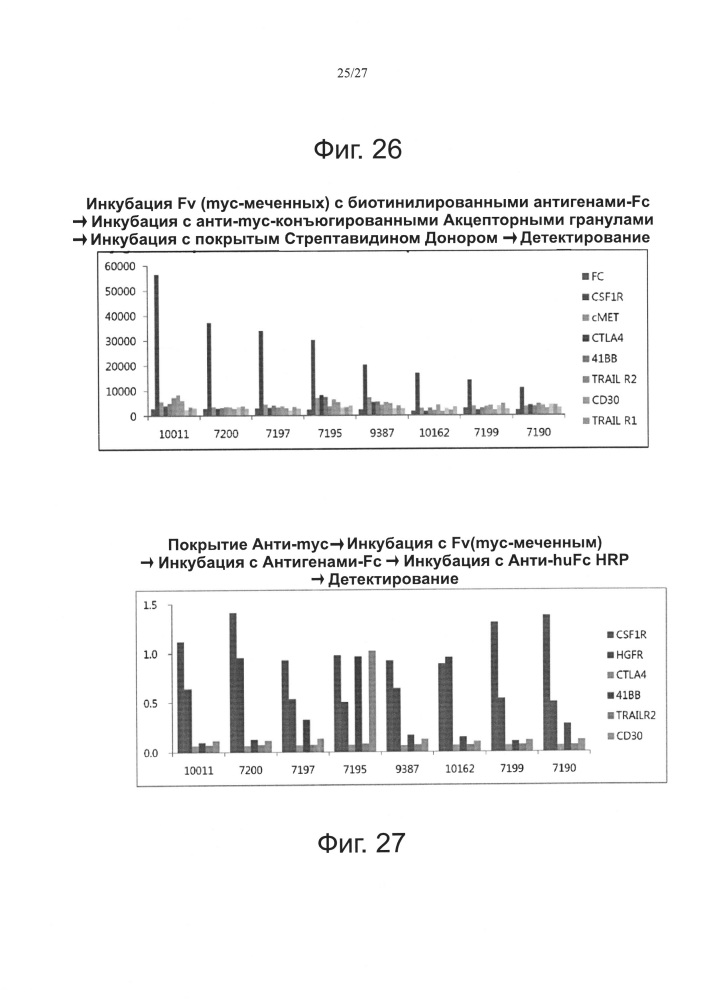 Библиотека fv на основе комбинаций белков и способ ее получения (патент 2639505)