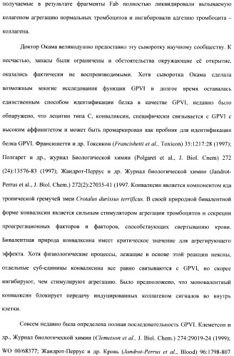 Антитела к гликопротеину vi и способы продуцирования и использования этих антител (патент 2407752)