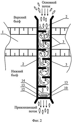 Способ пропуска рыб через рыбоход из нижнего бьефа гидроузла в верхний бьеф (варианты) (патент 2377365)