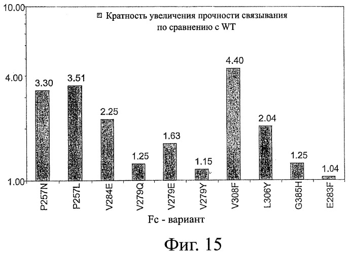 Fc-варианты с измененным связыванием с fcrn (патент 2412200)
