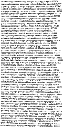 Модуляция экспрессии гентингтина (патент 2562861)