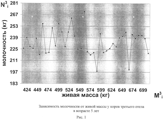 Способ определения и прогнозирования хозяйственно-полезных качеств коров мясных пород крупного рогатого скота (патент 2501213)