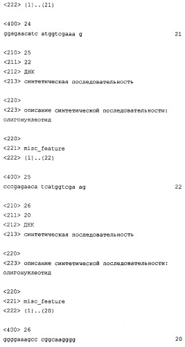 Конъюгаты и способ их получения, а также их применение для транспорта молекул через биологические мембраны (патент 2275936)