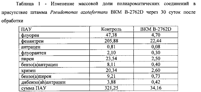 Штамм pseudomonas azotoformans для очистки морских водоемов и прибрежной зоны морских объектов от нефти в условиях высоких широт (патент 2553338)