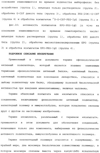 Физиологически активный полипептидный конъюгат, обладающий пролонгированным периодом полувыведения in vivo (патент 2312868)