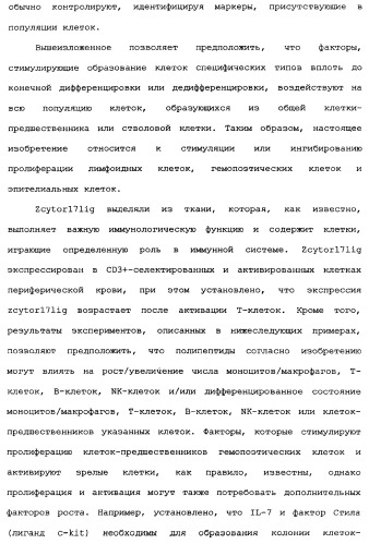 Новый лиганд рецептора цитокина zcytor17 (патент 2360923)