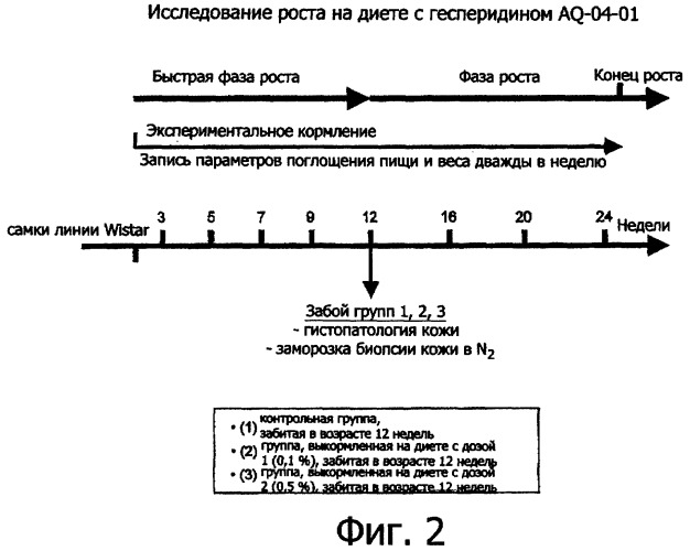 Содержащая флаваноны композиция для улучшения здоровья кожи, волос и шерсти животных (патент 2355378)