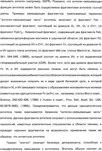 Человеческие моноклональные антитела к рецептору эпидермального фактора роста (egfr), способ их получения и их использование, гибридома, трансфектома, трансгенное животное, экспрессионный вектор (патент 2335507)