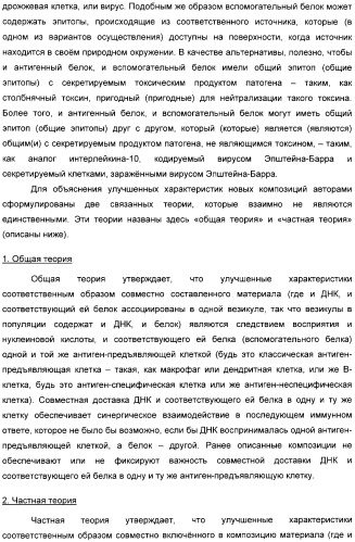 Способ усиления иммунного ответа при вакцинации нуклеиновой кислотой (патент 2311911)