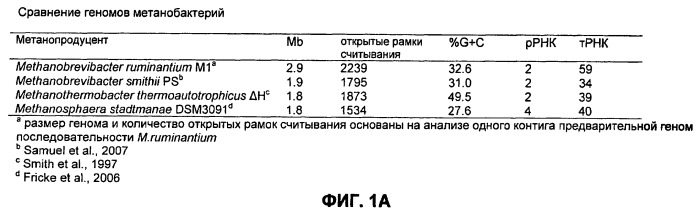 Проникающие в клетку пептиды и полипептиды для клеток микроорганизмов (патент 2526511)