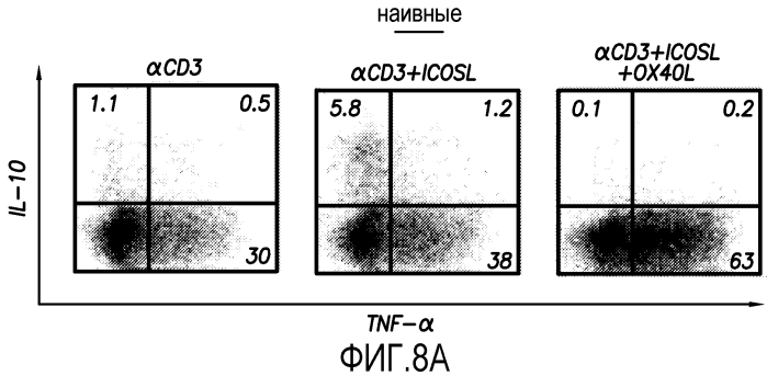 Антитела против ох40 и способы их применения (патент 2562874)