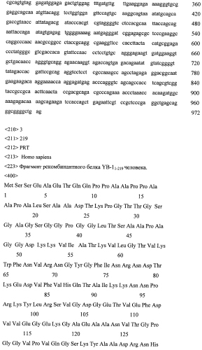 Применение белка yb-1 и его фрагментов для изготовления лекарственных средств при лечении болезни альцгеймера (патент 2561050)